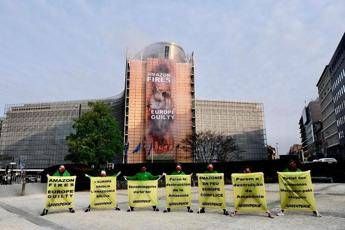 Greenpeace in azione a Bruxelles: Ue è complice degli incendi Greenpeace in azione a Bruxelles: Ue è complice degli incendi