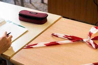Scuola, studentessa Tasso: Mi manca il compagno di banco Scuola, studentessa Tasso: Mi manca il compagno di banco