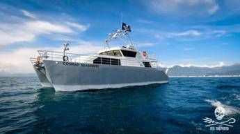 Operazione Siso, Sea Shepherd torna a difendere il Mediterraneo Operazione Siso, Sea Shepherd torna a difendere il Mediterraneo