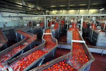 Mutti (Centromarca): 'Filiera alimentare può fare molto di più' Mutti (Centromarca): 'Filiera alimentare può fare molto di più'