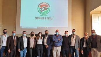 Eletto nuovo Cda Consorzio Tutela Mozzarella di Bufala Campana Dop Eletto nuovo Cda Consorzio Tutela Mozzarella di Bufala Campana Dop