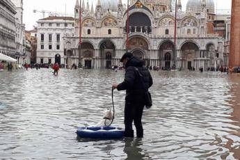 Coronavirus, Consulenti lavoro: Crollo turismo a Venezia, 2 mld in meno da stranieri Coronavirus, Consulenti lavoro: Crollo turismo a Venezia, 2 mld in meno da stranieri