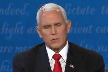 Una mosca sulla testa di Pence, il video è virale Una mosca sulla testa di Pence, il video è virale