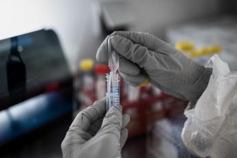 Covid, Eli Lilly sospende test trattamento con anticorpi