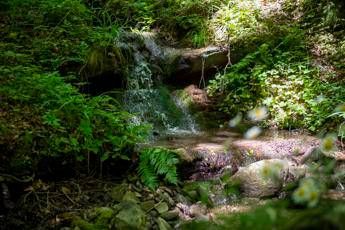 Tenuta Acqua Panna, fonte di biodiversità Tenuta Acqua Panna, fonte di biodiversità