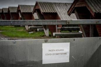 Covid e visoni, lockdown regionale in Danimarca Covid e visoni, lockdown regionale in Danimarca