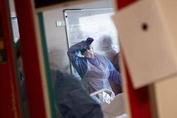 Covid, più di 47 mln casi e 1,2 mln morti: ecco le 3 priorità dell'Oms Covid, più di 47 mln casi e 1,2 mln morti: ecco le 3 priorità dell'Oms