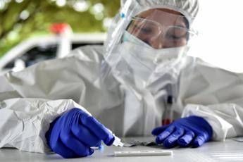 Covid, nel mondo 49,3 mln di casi e oltre 1,2 mln di morti Covid, nel mondo 49,3 mln di casi e oltre 1,2 mln di morti