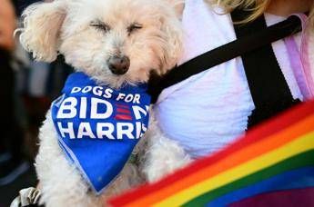 Biden cade mentre gioca col cane: frattura al piede destro Biden cade mentre gioca col cane: frattura al piede destro