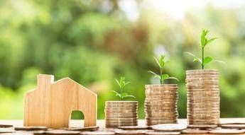 Energia, 160 alberi per famiglia per compensare consumi annuali Energia, 160 alberi per famiglia per compensare consumi annuali