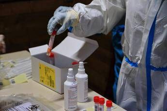 Coronavirus Puglia, 1456 contagi e 16 morti: il bollettino Coronavirus Puglia, 1456 contagi e 16 morti: il bollettino