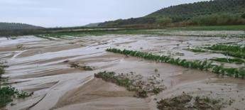 Alluvione a Crotone: l'imprenditrice Turrà, Milioni di danni al territorio, non dimenticateci Alluvione a Crotone: l'imprenditrice Turrà, Milioni di danni al territorio, non dimenticateci