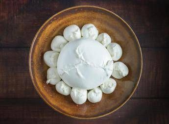 Arriva 'Bufala Campana', 1a Guida alla scoperta delle vie della Mozzarella Dop Arriva 'Bufala Campana', 1a Guida alla scoperta delle vie della Mozzarella Dop