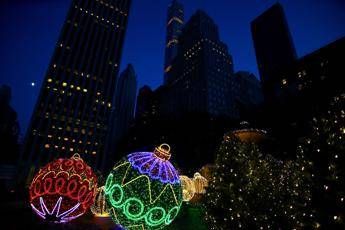 Covid e Natale, appello di Fauci: Teniamo i nostri cari al sicuro Covid e Natale, appello di Fauci: Teniamo i nostri cari al sicuro
