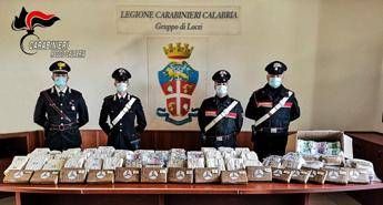 Trovati con 17 kg di cocaina e 5 milioni in contanti: in manette Trovati con 17 kg di cocaina e 5 milioni in contanti: in manette