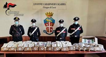 Trovati con 17 kg di cocaina e 5 milioni in contanti: in manette