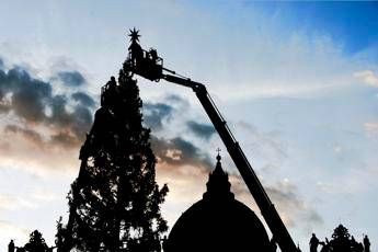 Natale in Vaticano, l'albero arriva in Piazza San Pietro Natale in Vaticano, l'albero arriva in Piazza San Pietro