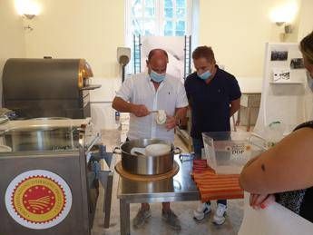 A scuola di mozzarella Dop, studenti da tutto il mondo imparano l'arte del casaro A scuola di mozzarella Dop, studenti da tutto il mondo imparano l'arte del casaro