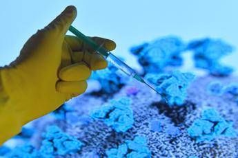Covid, primi vaccini il 25 dicembre allo Spallanzani Covid, primi vaccini il 25 dicembre allo Spallanzani