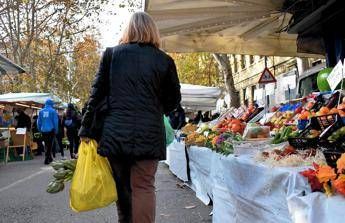 Lazio, Zingaretti: stop ordinanza chiusura megastore e mercati Lazio, Zingaretti: stop ordinanza chiusura megastore e mercati
