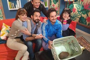 Spunta un riccio in carne e ossa sul set di ‘Ricci e Capricci’ Spunta un riccio in carne e ossa sul set di ‘Ricci e Capricci’