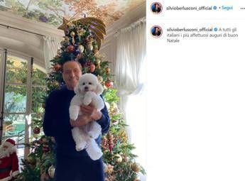 Berlusconi e gli auguri di Natale con Dudù Berlusconi e gli auguri di Natale con Dudù