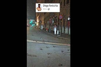 Capodanno 2021, a Roma è strage di storni Capodanno 2021, a Roma è strage di storni