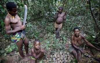 Survival attacca il Wwf, e l'Ocse avvia un'indagine Survival attacca il Wwf, e l'Ocse avvia un'indagine