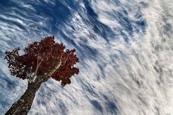 'The Poetry of Earth', la natura fotografata da Barbara Dall'Angelo /Foto 'The Poetry of Earth', la natura fotografata da Barbara Dall'Angelo /Foto