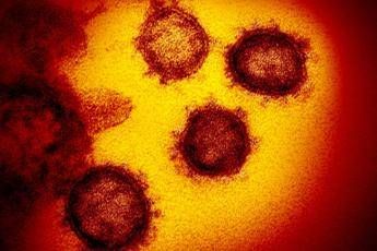 Coronavirus, tanti morti in Italia? Non è solo per l'età Coronavirus, tanti morti in Italia? Non è solo per l'età
