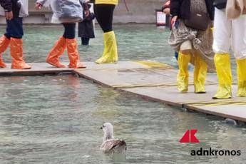 Venezia, acqua alta a 120 cm Venezia, acqua alta a 120 cm