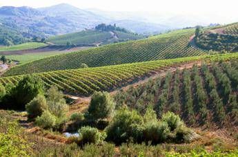 Ancient Roman villa uncovered near Florence Ancient Roman villa uncovered near Florence