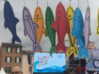 Sardine: Idea Papeete per chiudere campagna elettorale Sardine: Idea Papeete per chiudere campagna elettorale