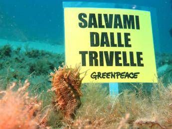 Salvami dalle trivelle, dal fondo del mare l'appello di Greenpeace /Foto Salvami dalle trivelle, dal fondo del mare l'appello di Greenpeace /Foto