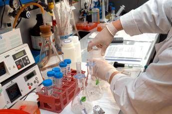 I batteri 'giusti' per vivere più di 100 anni: uno studio li cerca nell'intestino I batteri 'giusti' per vivere più di 100 anni: uno studio li cerca nell'intestino