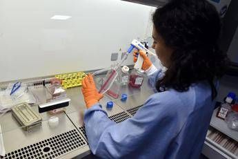 Super cellule in grado di battere leucemie, verso cura anti-cancro tutta italiana Super cellule in grado di battere leucemie, verso cura anti-cancro tutta italiana