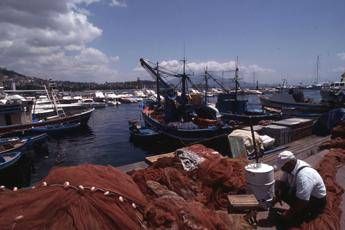 Stop a pesce fresco, scatta fermo pesca Stop a pesce fresco, scatta fermo pesca