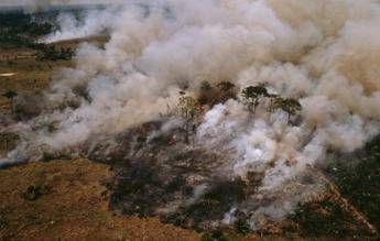 L'Amazzonia brucia, a rischio il 20% dell'ossigeno del Pianeta /Foto L'Amazzonia brucia, a rischio il 20% dell'ossigeno del Pianeta /Foto