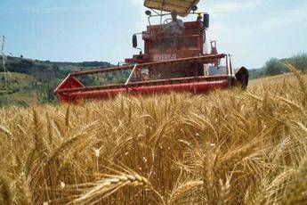 Il mondo dell'agricoltura: nuovo governo abbassi tasse su lavoro e stop aumento Iva Il mondo dell'agricoltura: nuovo governo abbassi tasse su lavoro e stop aumento Iva