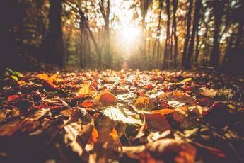 Uno Scudo Contro La Tristezza Da Autunno