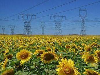 Joint venture Graded-Bonifiche ferraresi, nasce la newco Bf energy Joint venture Graded-Bonifiche ferraresi, nasce la newco Bf energy