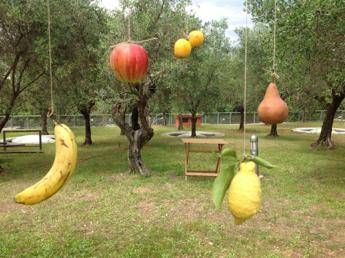Alla scoperta della frutta urbana: tanta, sana e a km zero Alla scoperta della frutta urbana: tanta, sana e a km zero
