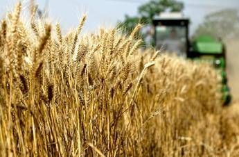 Coronavirus, prezzo del grano vola e sorpassa il petrolio Coronavirus, prezzo del grano vola e sorpassa il petrolio
