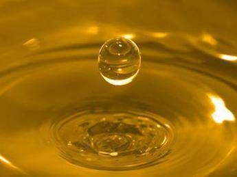 Olio di palma nel mirino. Troppi grassi nocivi aprono la strada al diabete Olio di palma nel mirino. Troppi grassi nocivi aprono la strada al diabete