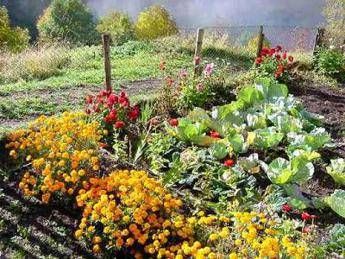 Siamo tutti custodi di biodiversità: dal 19 gennaio l'invito è a 'seminare il futuro' Siamo tutti custodi di biodiversità: dal 19 gennaio l'invito è a 'seminare il futuro'
