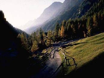 Una petizione per salvare lo Stelvio. Associazioni: Mattarella fermi lo smembramento Una petizione per salvare lo Stelvio. Associazioni: Mattarella fermi lo smembramento