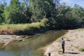 Pavia, trovato cadavere sulle sponde di un torrente Pavia, trovato cadavere sulle sponde di un torrente