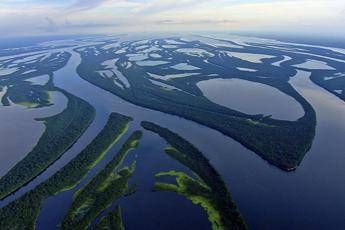 Amazzonia, lo speciale su National Geographic Wild Amazzonia, lo speciale su National Geographic Wild