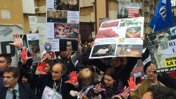 Animalisti contro sfilate Altaroma: No alle pellicce /Video - Foto Animalisti contro sfilate Altaroma: No alle pellicce /Video - Foto