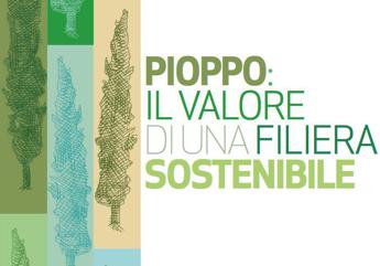Assopannelli: Sostenere pioppo per il made in Italy